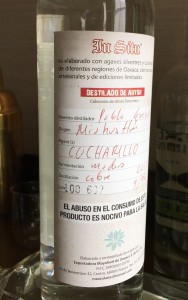 At In Situ: A. cucharilla mezcal. Unclassified agave